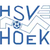 HSV胡克