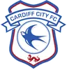 卡迪夫城